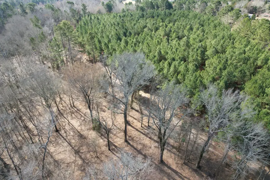 TBD-8 Hwy 271, Gladewater, TX 75647 - Image #3