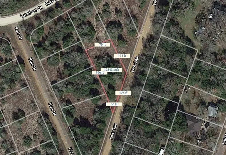 Lot 6 Live Oak, Normangee, TX 77871 - #1