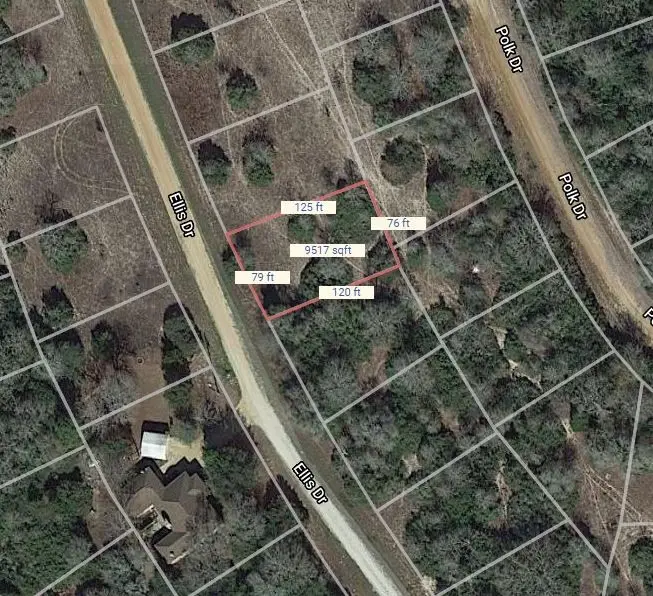 Lot 16 Ellis Lane, Normangee, TX 77871 - #1