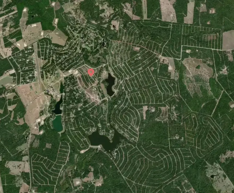 Lot 11 Ellis Lane, Normangee, TX 77871 - #3