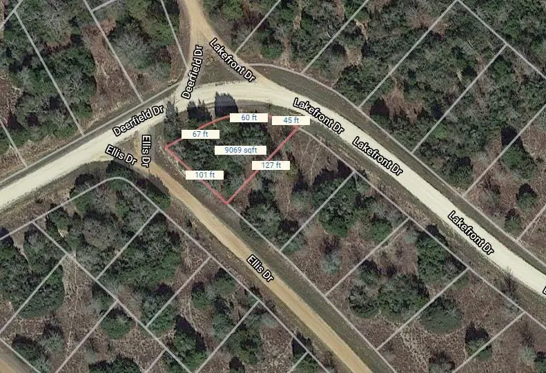 Lot 1 Ellis Lane, Normangee, TX 77871 - #1