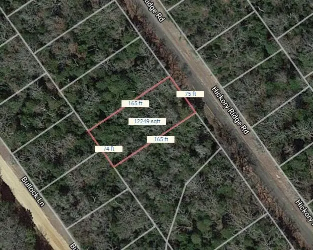 Lot 22 Hickory Ridge Drive, Normangee, TX 77871 - #2