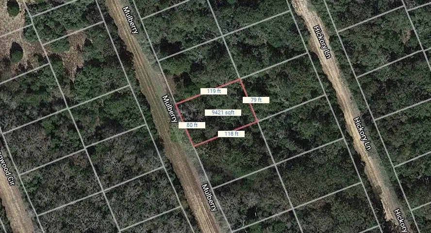 Lot 21 Mulberry Lane, Normangee, TX 77871 - Image #1