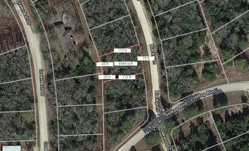 Lot 16 Blackgum, Normangee, TX 77871 - #1