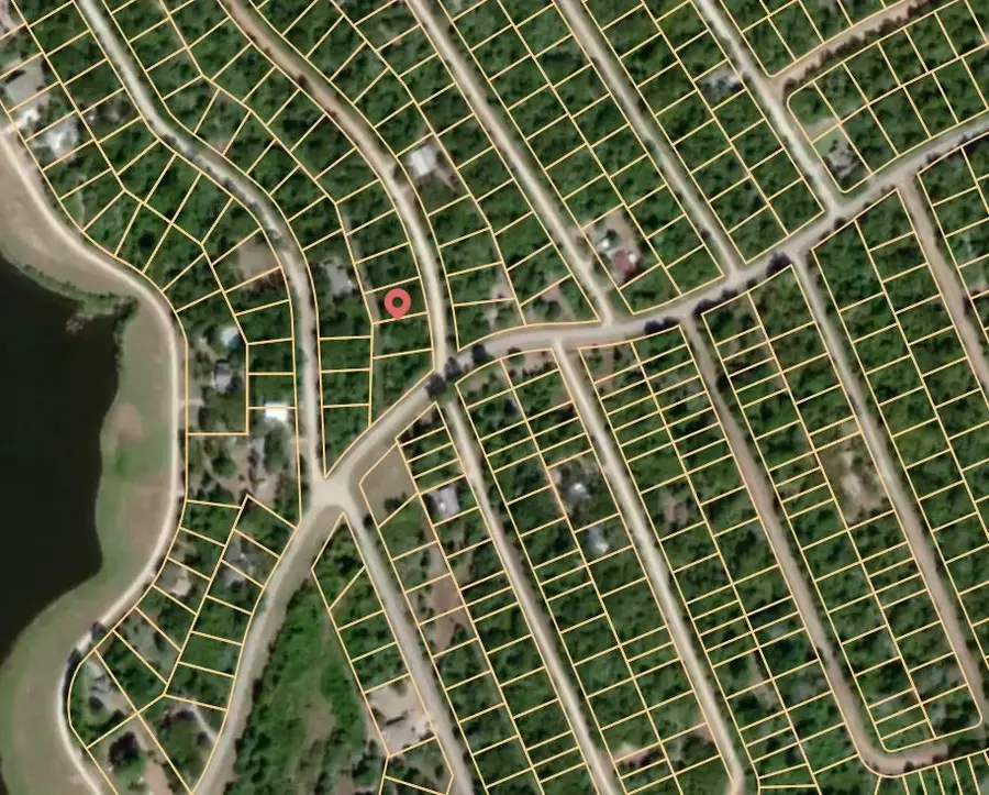 Lot 16 Blackgum, Normangee, TX 77871 - #2