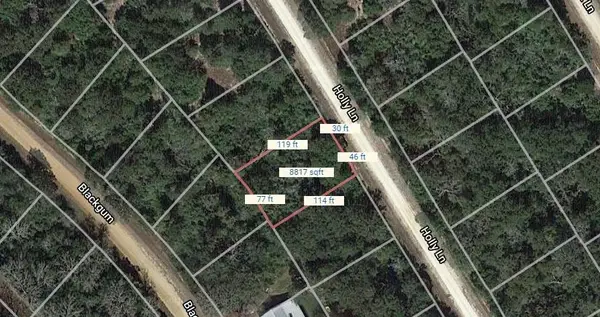 Lot 19 Holly Lane, Normangee, TX 77871