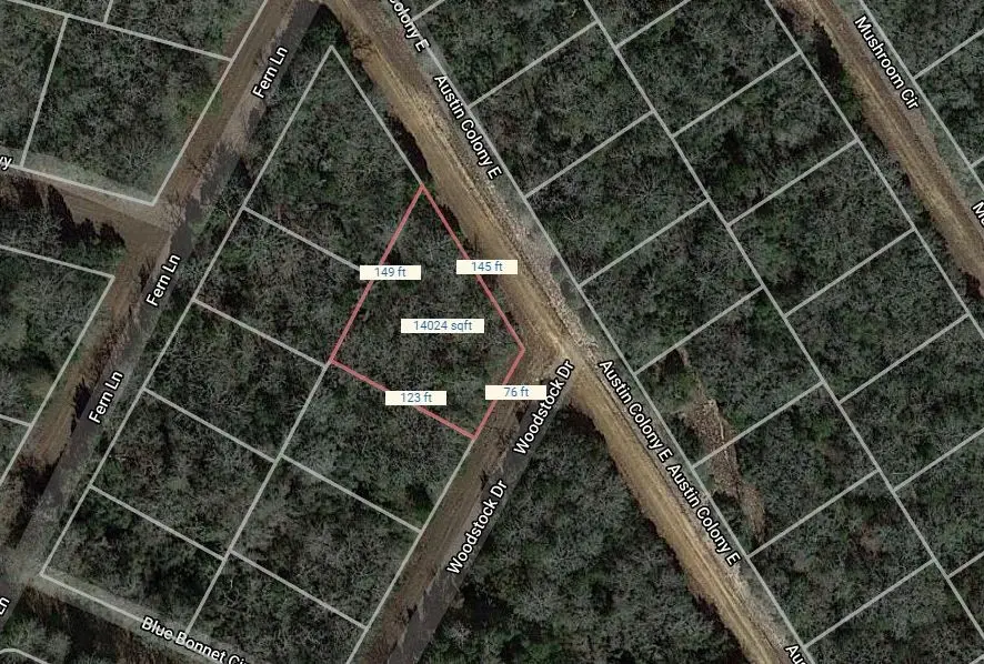 Lot 6 Woodstock Drive, Normangee, TX 77871 - #1