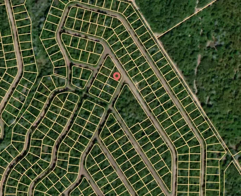 Lot 6 Woodstock Drive, Normangee, TX 77871 - #2