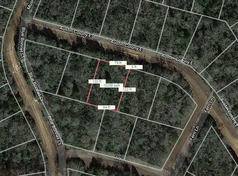 Lot 3 E Austin Colony, Normangee, TX 77871 - Image #1