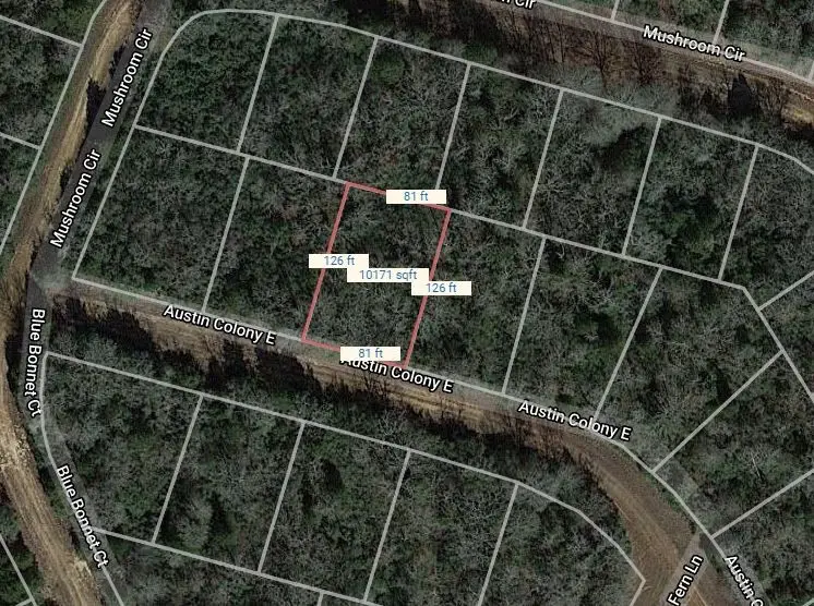 Lot 51 E Austin Colony, Normangee, TX 77871 - Image #1