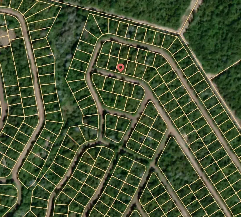 Lot 51 E Austin Colony, Normangee, TX 77871 - Image #2