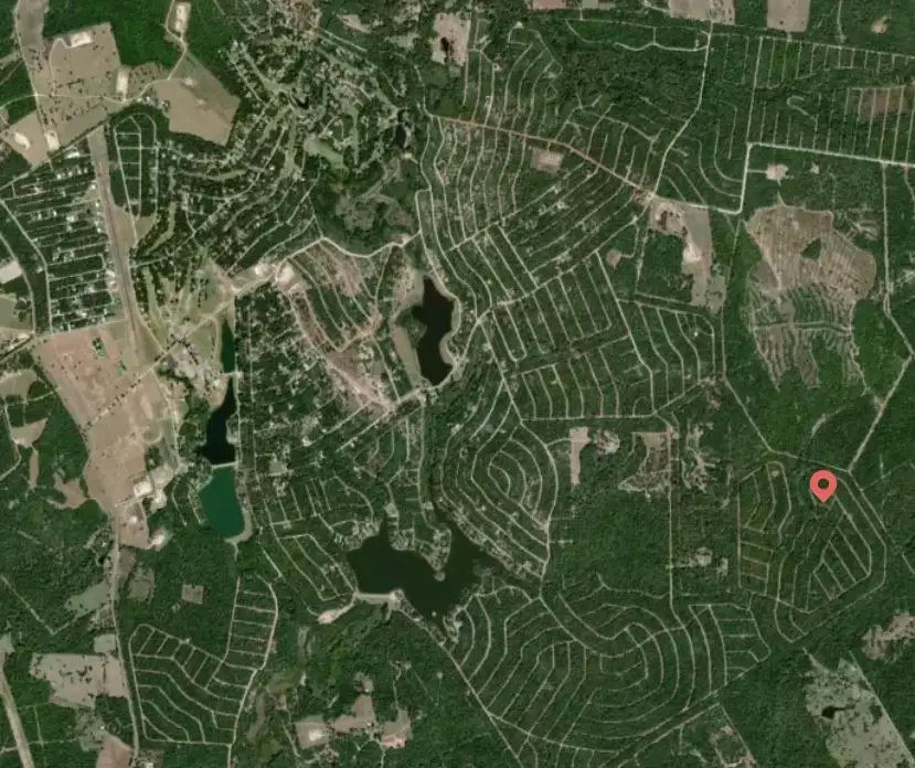 Lot 51 E Austin Colony, Normangee, TX 77871 - Image #3