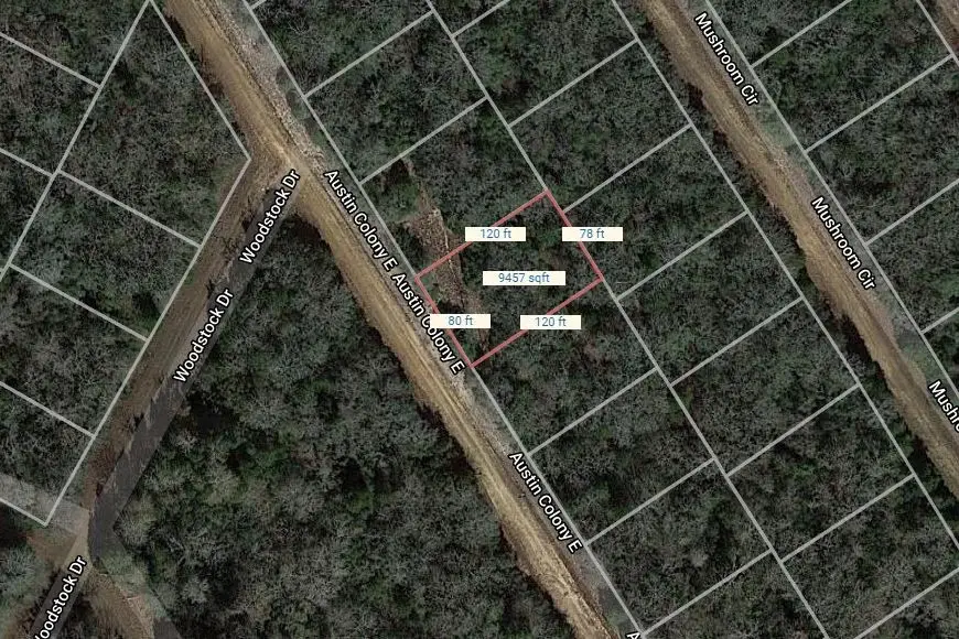 Lot 40 E Austin Colony, Normangee, TX 77871 - Image #1