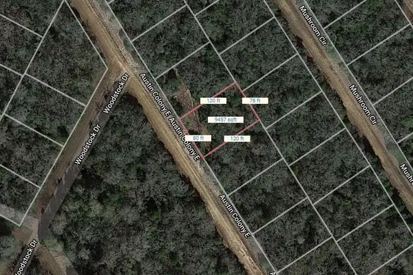 Lot 40 E Austin Colony, Normangee, TX 77871