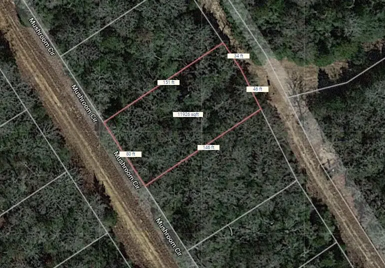 Lot 24 Mushroom Circle, Normangee, TX 77871 - Image #1