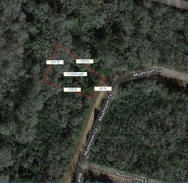 Lot 10 Mushroom Circle, Normangee, TX 77871 - Image #1