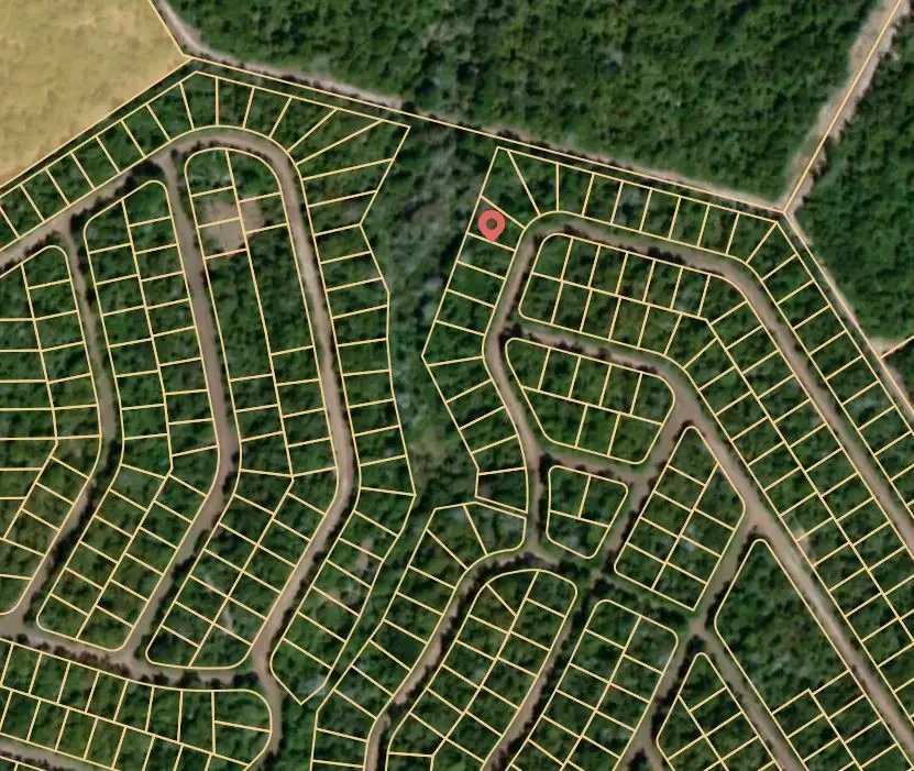 Lot 10 Mushroom Circle, Normangee, TX 77871 - Image #2