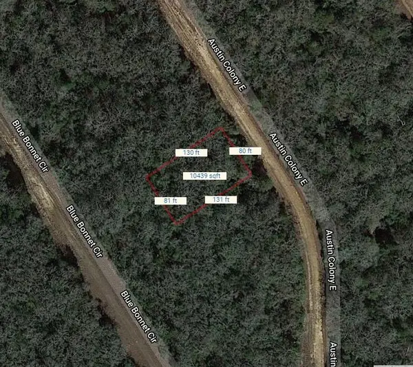 Lot 4 E Austin Colony, Normangee, TX 77871