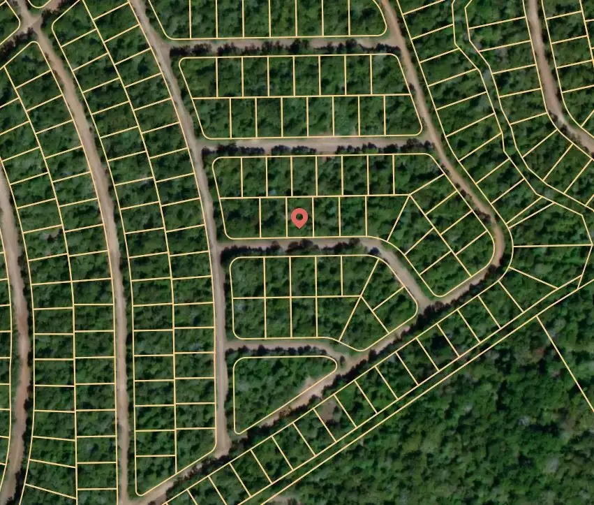 Lot 19 Port, Normangee, TX 77871 - Image #2