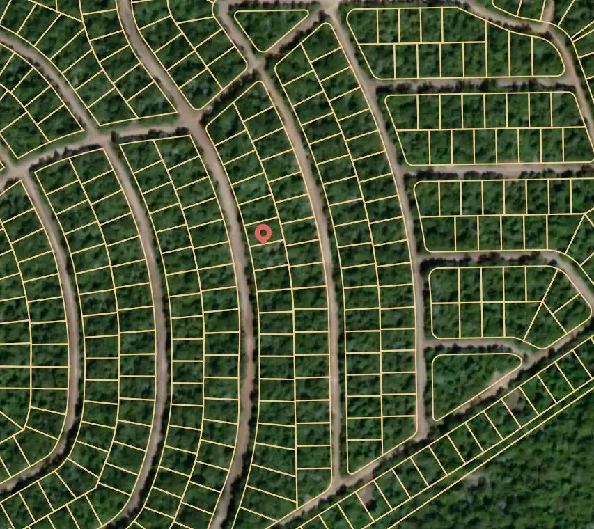 Lot 32 Hickory Ridge Drive, Normangee, TX 77871 - Image #2