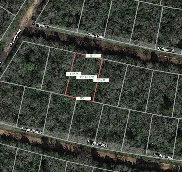 Lot 42 Celestial, Normangee, TX 77871