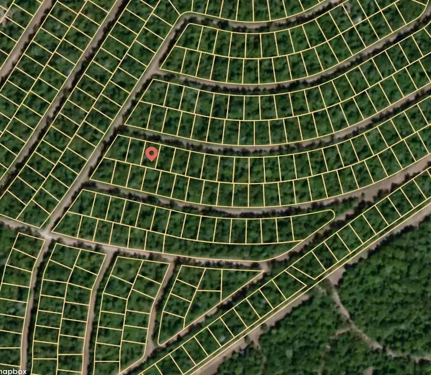 Lot 42 Celestial, Normangee, TX 77871 - Image #2