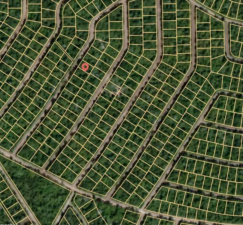 Lot 6 Cardinal, Normangee, TX 77871 - Image #2