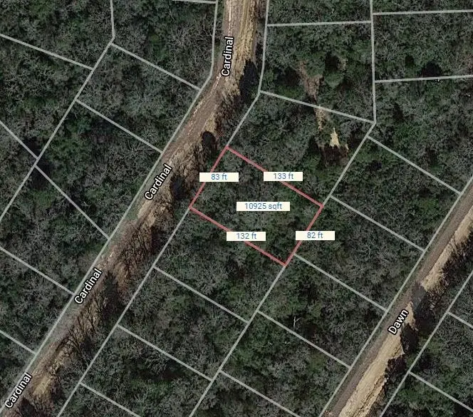 Lot 4 Cardinal, Normangee, TX 77871 - Image #1