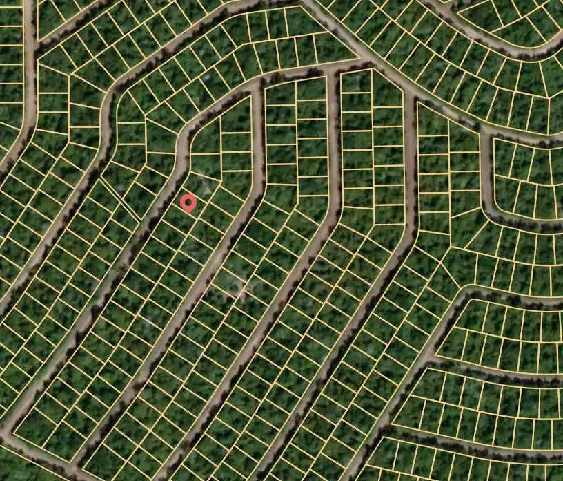 Lot 4 Cardinal, Normangee, TX 77871 - Image #2