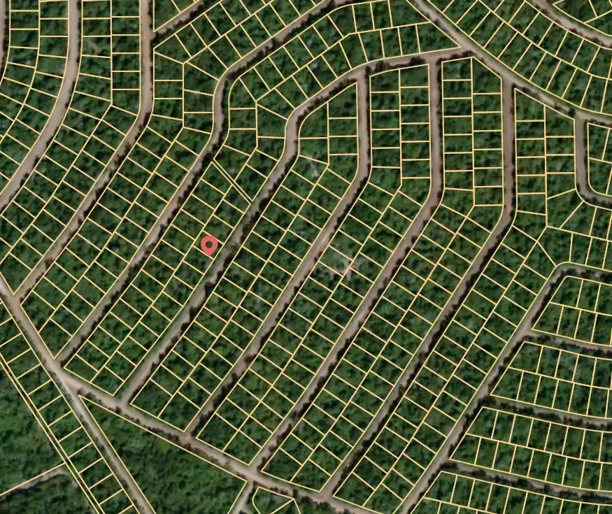 Lot 46 Cardinal, Normangee, TX 77871 - Image #2