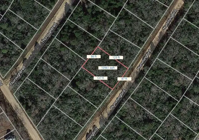 Lot 24 Hummingbird, Normangee, TX 77871 - Image #1