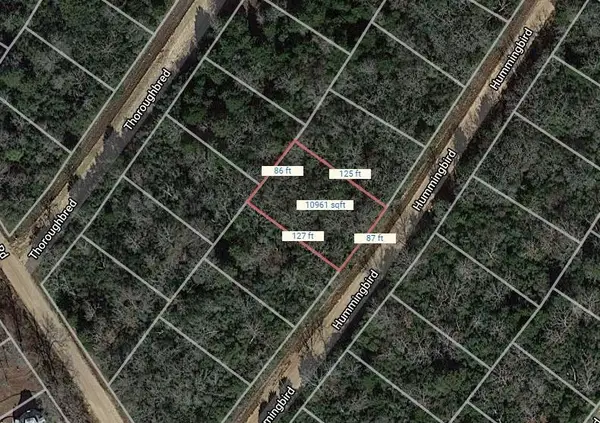 Lot 24 Hummingbird, Normangee, TX 77871