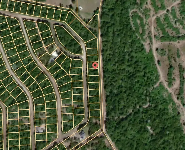 Lot 20 Briar Patch Lane, Normangee, TX 77871 - #2