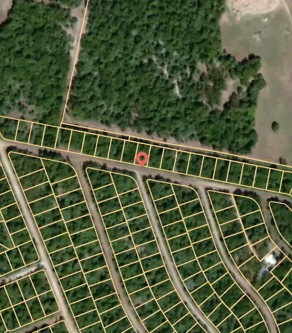 Lot 1 Briar Patch Lane, Normangee, TX 77871 - #2