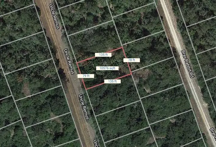 Lot 41 Uncle Remus, Normangee, TX 77871 - Image #1