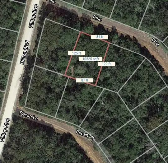 Lot 12 Pine, Normangee, TX 77871