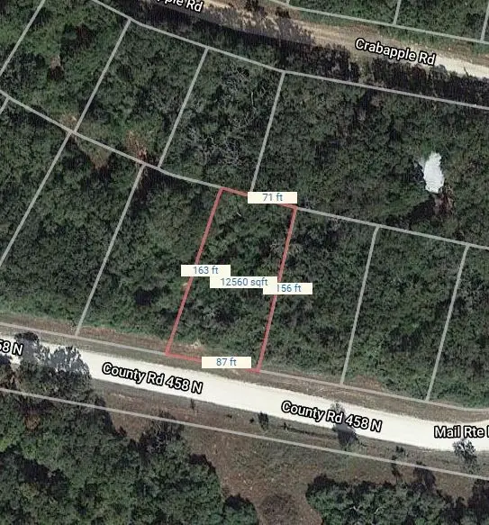 Lot 53 Mail Route Road, Normangee, TX 77871 - #1