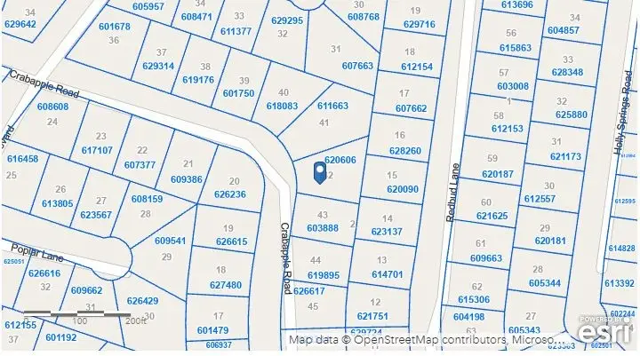 Lot 42 Crabapple Road, Normangee, TX 77871 - #3