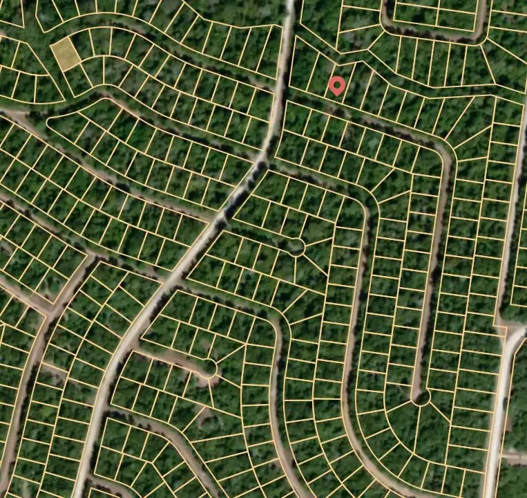 Lot 3 Holly Springs Road, Normangee, TX 77871 - #2