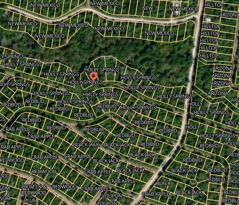 Lot 12 Holly Springs Road, Normangee, TX 77871 - Image #2