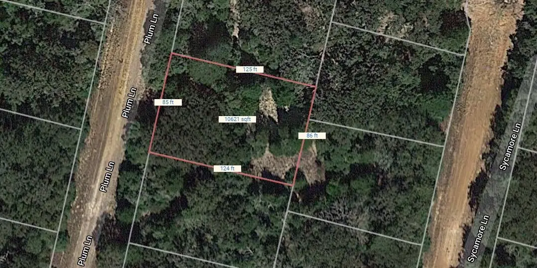 Lot 7 Plum Lane, Normangee, TX 77871 - #1