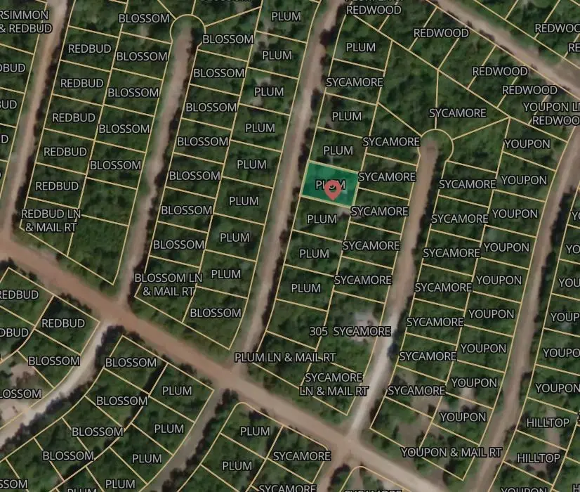 Lot 7 Plum Lane, Normangee, TX 77871 - #2