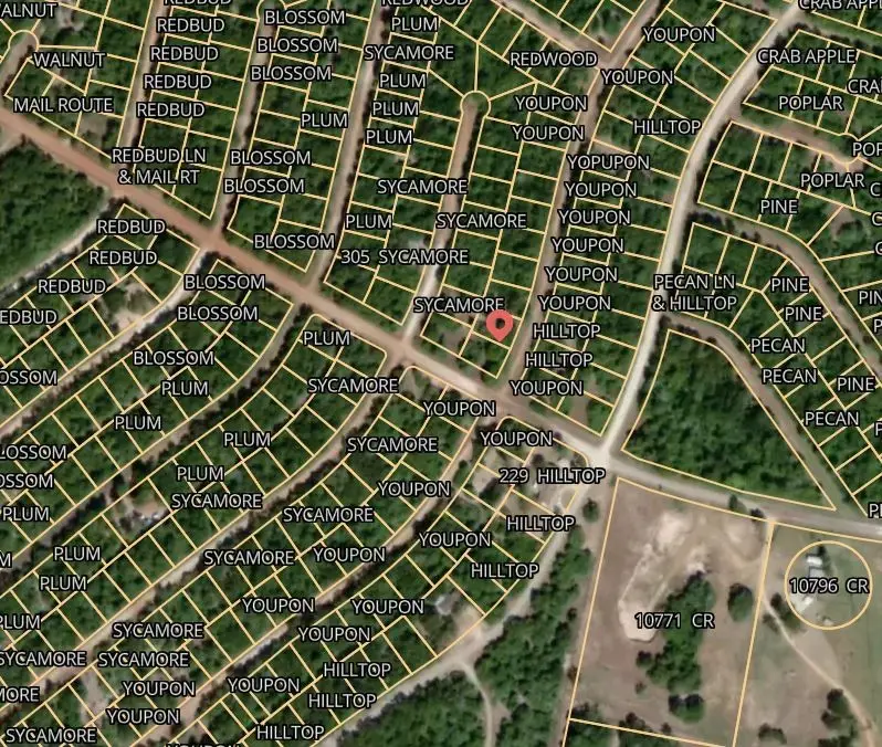 Lot 6 Plum Lane, Normangee, TX 77871 - #2