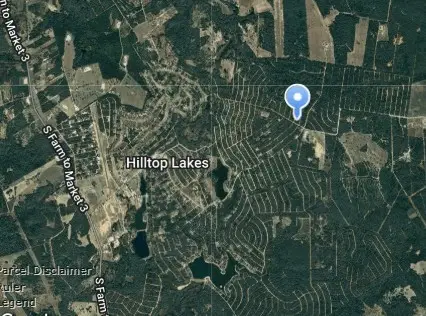 Lot 31 Youpon Lane, Normangee, TX 77871 - #2