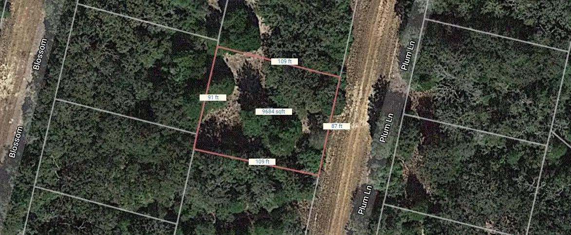 Lot 32 Plum Lane, Normangee, TX 77871 - #1