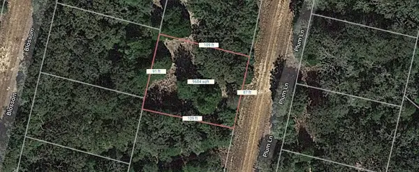 Lot 32 Plum Lane, Normangee, TX 77871