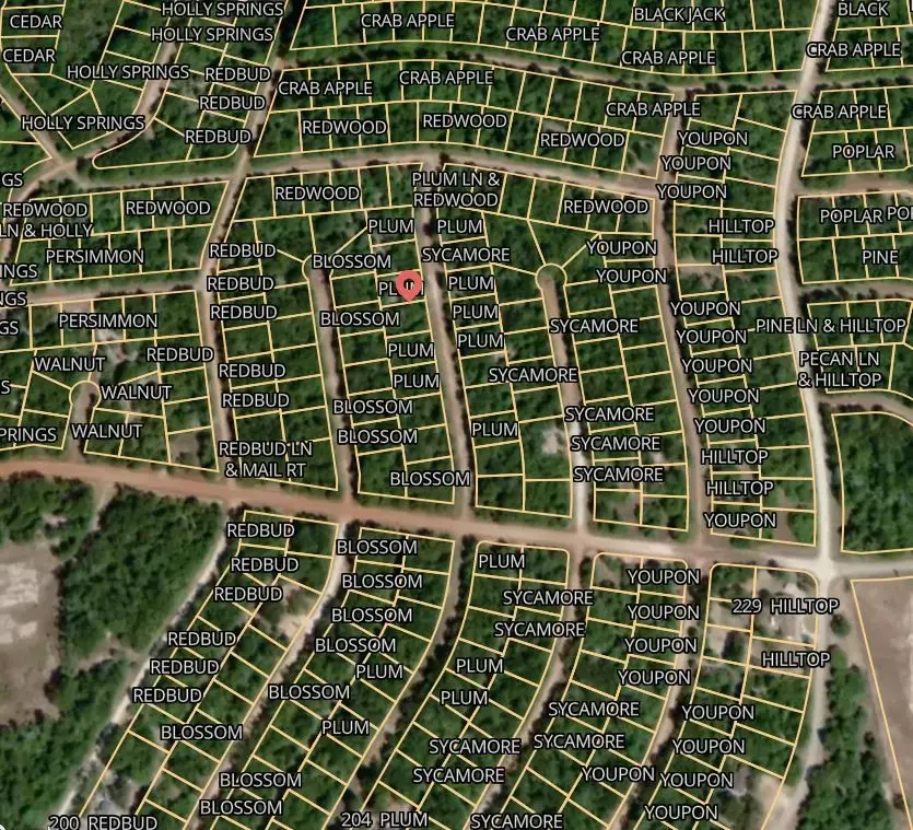 Lot 32 Plum Lane, Normangee, TX 77871 - #3