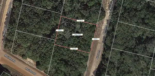 Lot 15 Blossom, Normangee, TX 77871