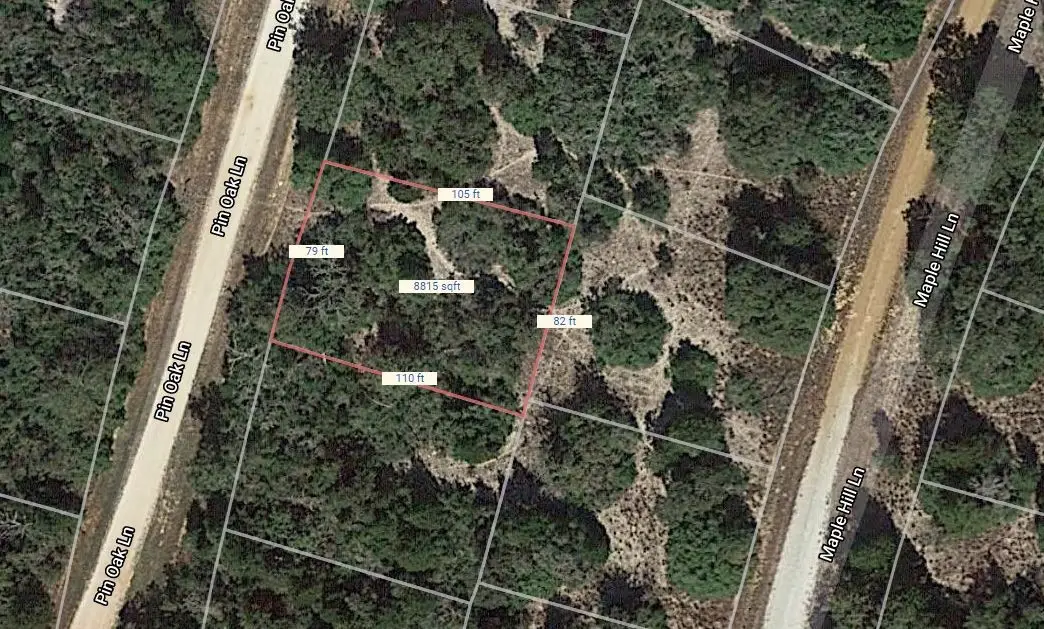 Lot 40 Pin Oak, Normangee, TX 77871 - #1