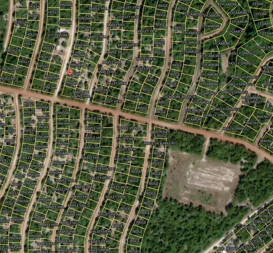 Lot 40 Pin Oak, Normangee, TX 77871 - #2